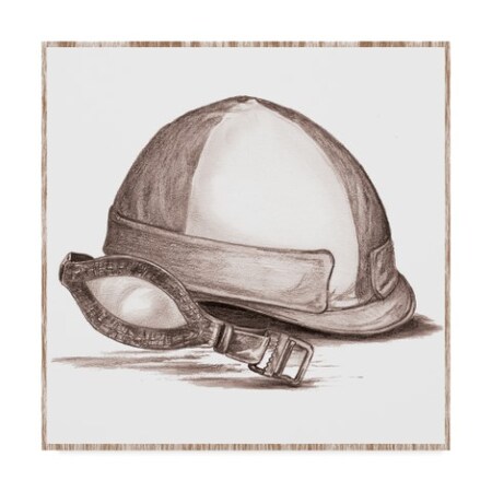 Sher Sester 'Jockey Helmet Silks' Canvas Art,24x24